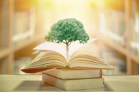 Tree growing from a pile of books